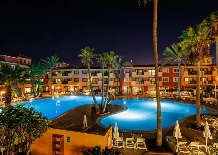 O7 Aloe Corralejo